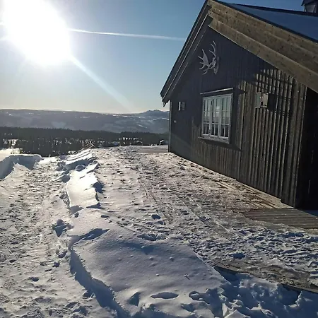 Mountain With A View Over Jotunheimen