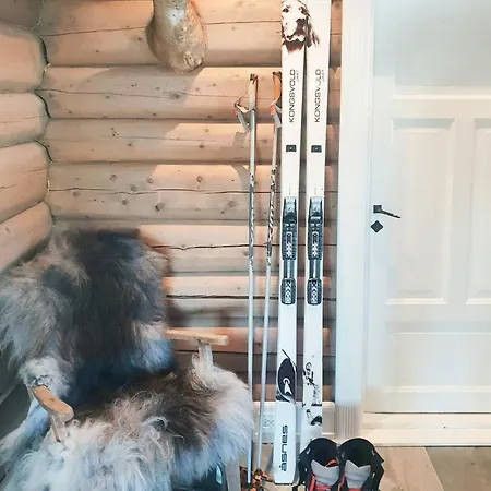 Mountain With A View Over Jotunheimen Tretten